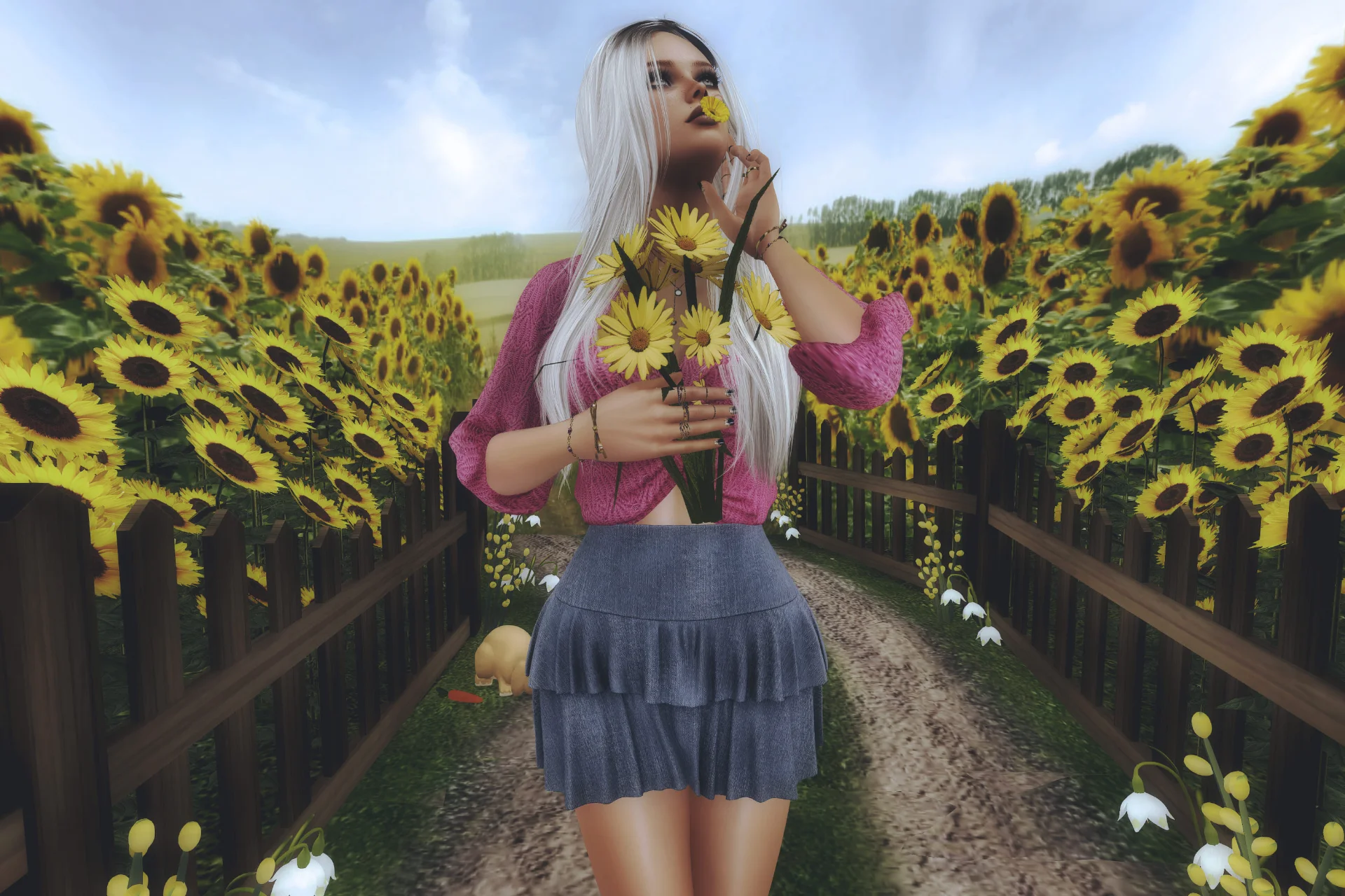 Gallery photo