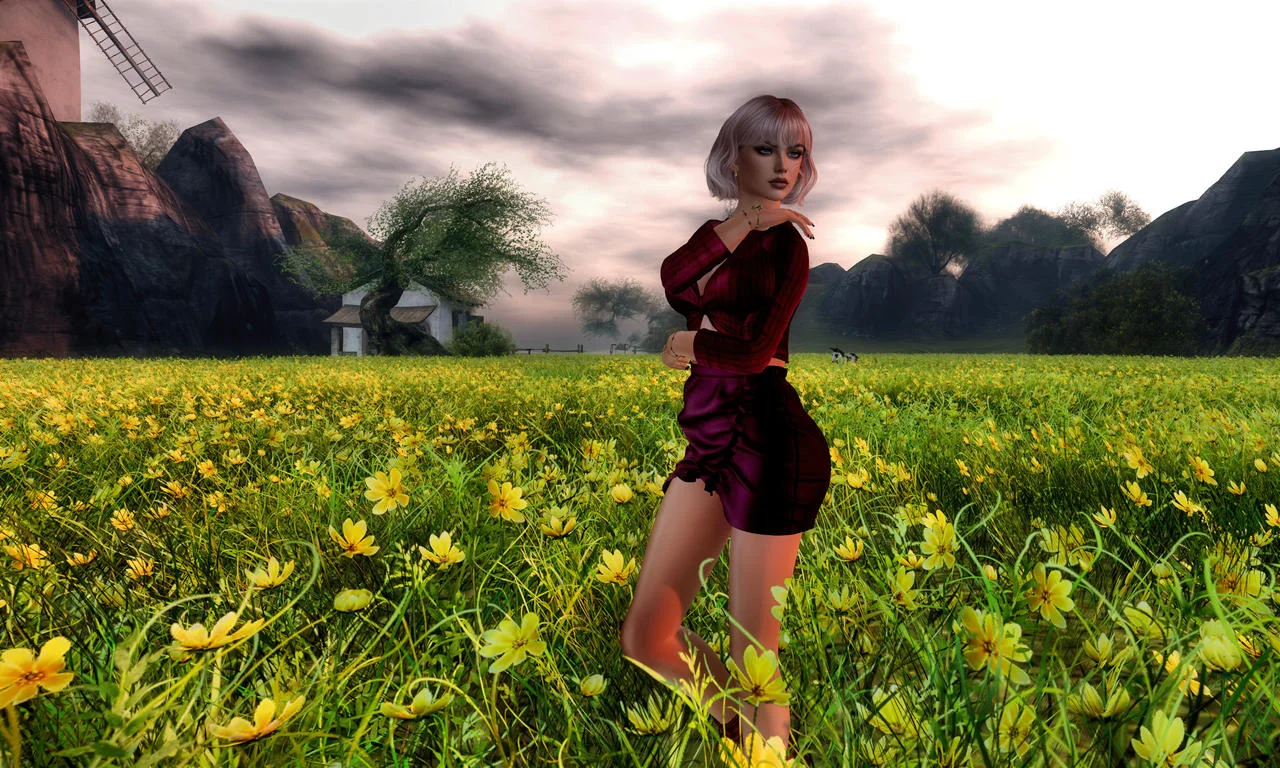 Fields
